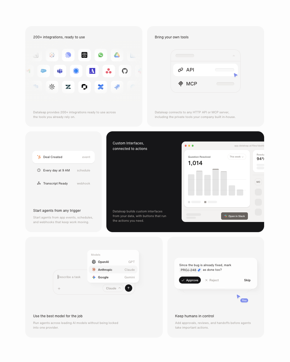 Screenshot of features dataleap ai 3