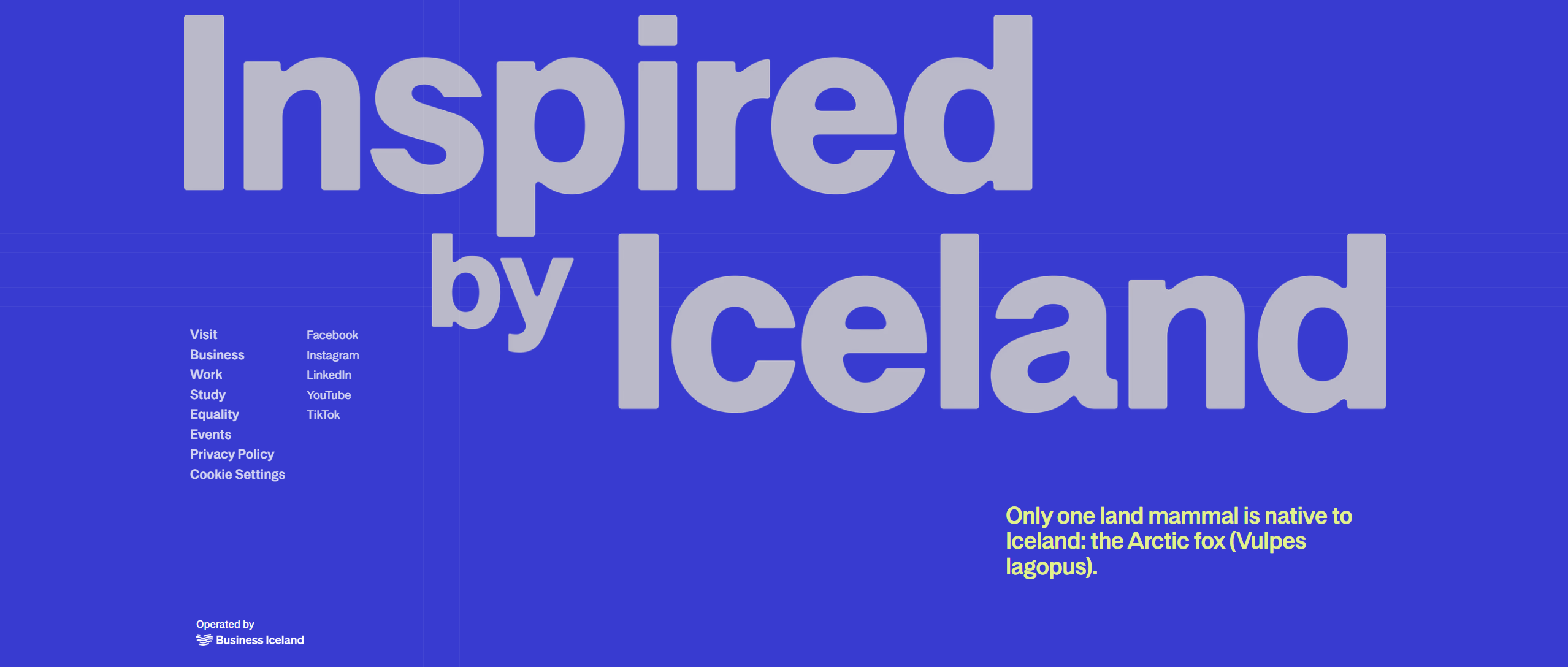 Screenshot of footer inspire by iceland